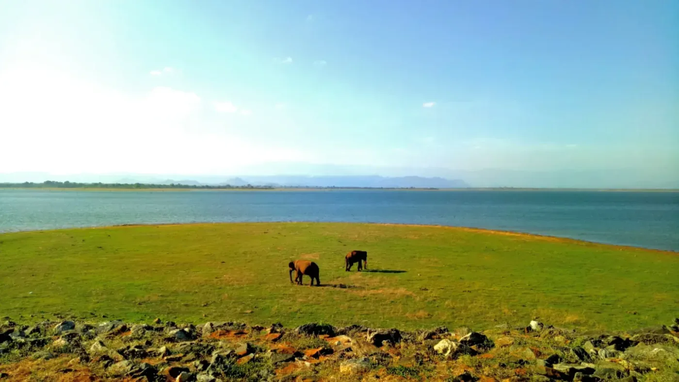 Udawalawe
